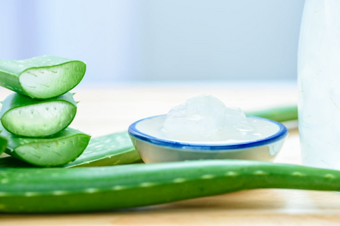 Andrographics Extracts