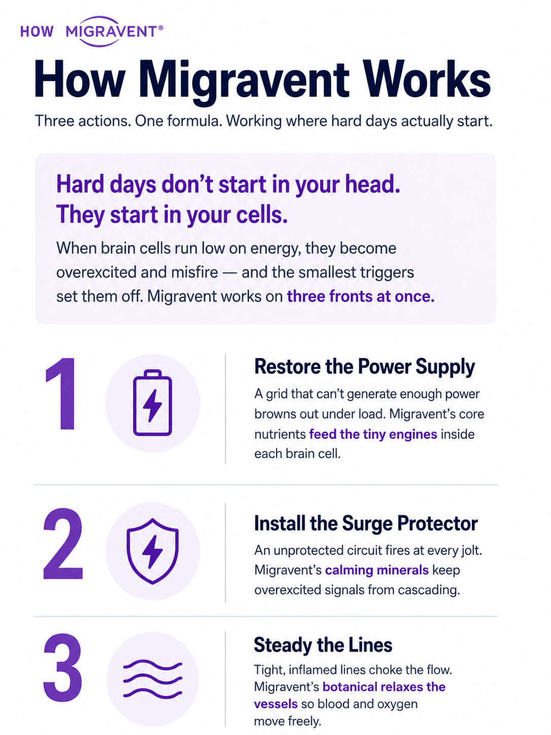 Clinical-Strength Brain Comfort & Clarity facts section 2